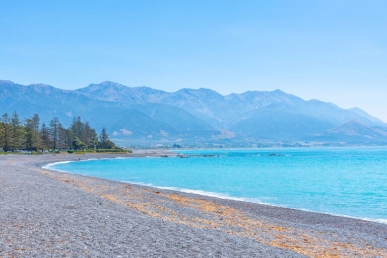 Free things to do in Kaikoura, New Zealand